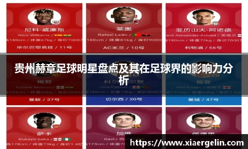 贵州赫章足球明星盘点及其在足球界的影响力分析