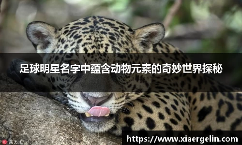 milan米兰官方网站